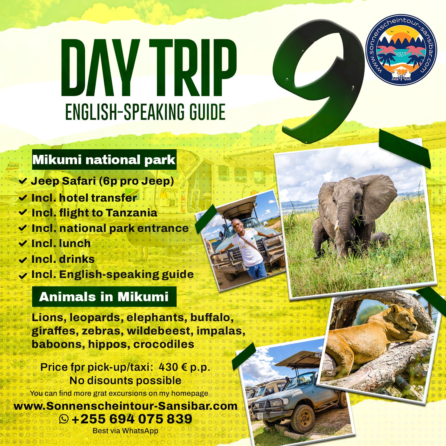 Daytrip 9